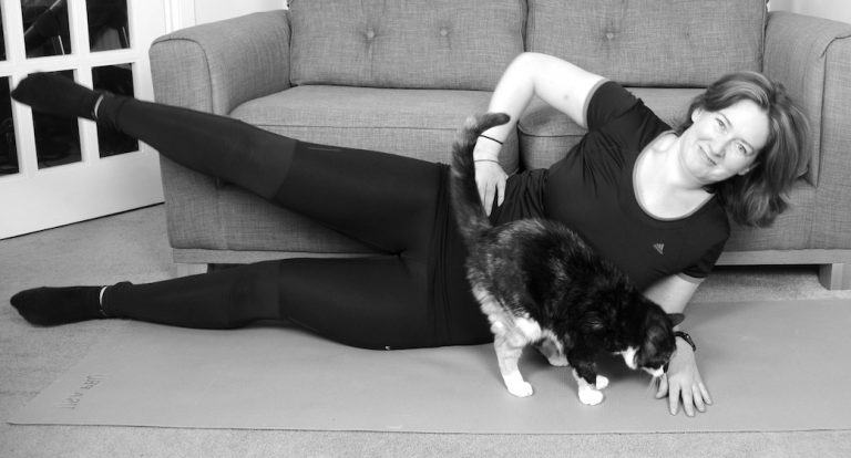 Cat in the way exercise