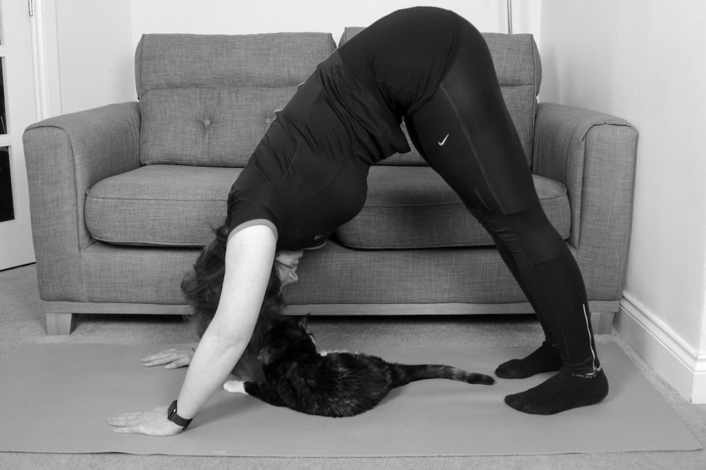 Down Dog Exercise